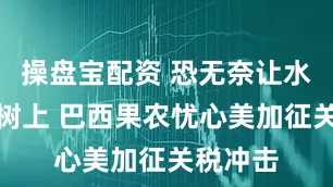 操盘宝配资 恐无奈让水果烂在树上 巴西果农忧心美加征关税冲击