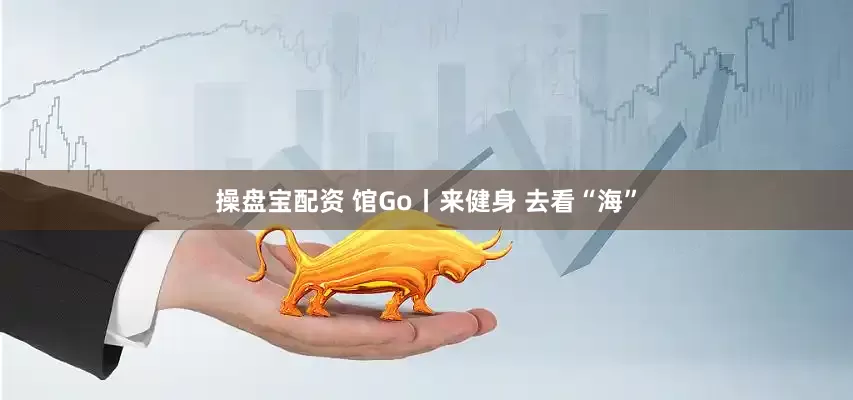操盘宝配资 馆Go丨来健身 去看“海”