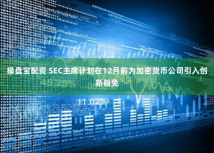 操盘宝配资 SEC主席计划在12月前为加密货币公司引入创新豁免