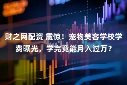 财之网配资 震惊！宠物美容学校学费曝光，学完竟能月入过万？