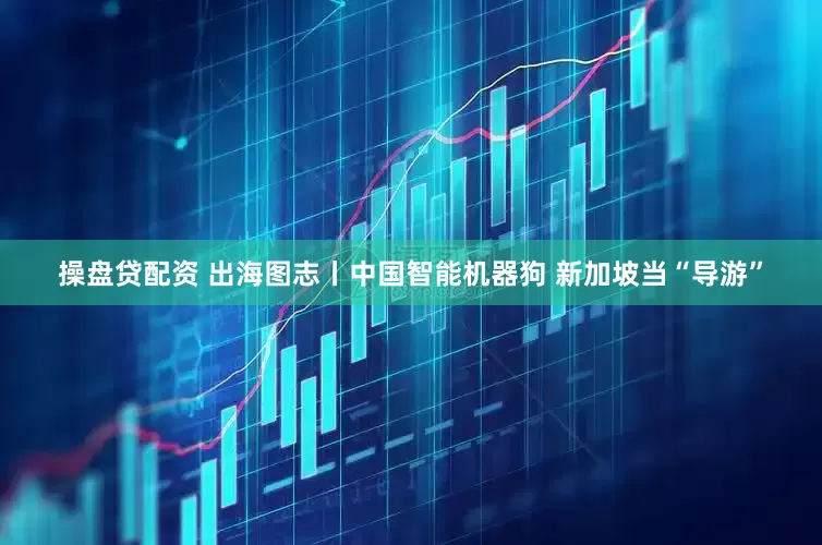 操盘贷配资 出海图志丨中国智能机器狗 新加坡当“导游”
