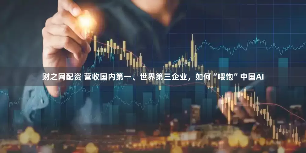 财之网配资 营收国内第一、世界第三企业，如何“喂饱”中国AI